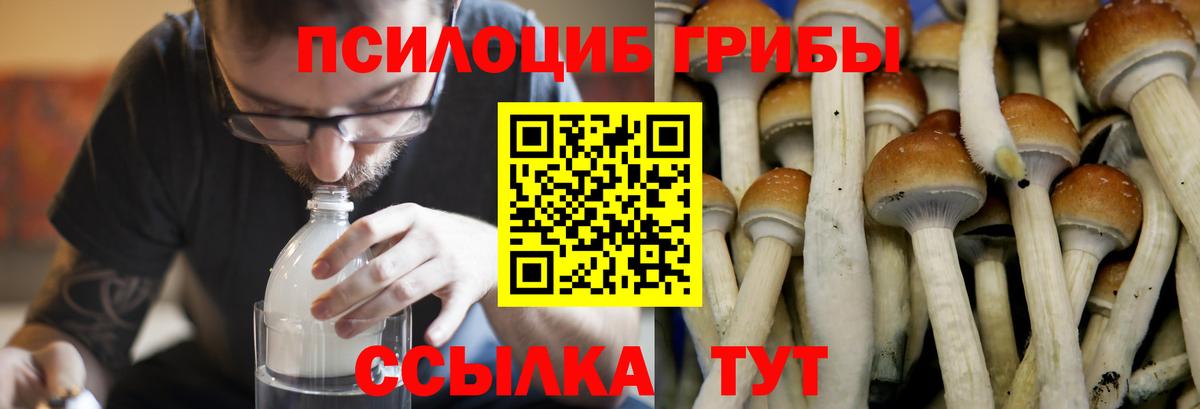 Ханты-Мансийск  Галлюциногенные грибы ЛСД  Псилоцибиновые грибы Psilocybine cubensis  Вход с VPN 